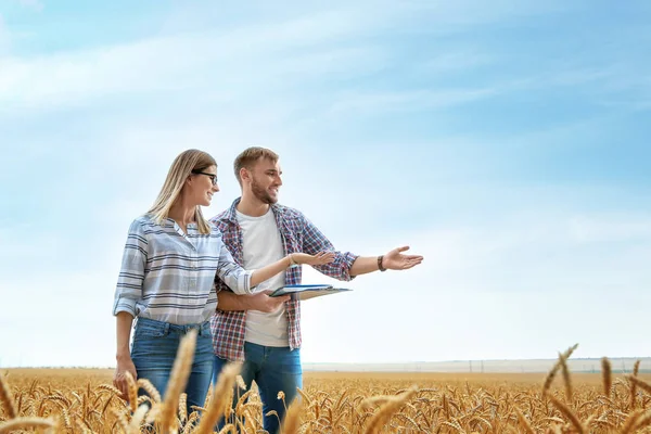 Jóvenes Agrónomos Campo Grano Producción Cereales — Foto de Stock