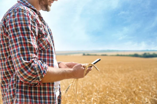 Jonge Man Met Smartphone Graan Gebied Granen Landbouw — Stockfoto