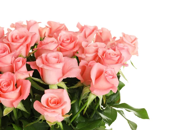 Csokor Gyönyörű Rózsa Fehér Háttér — Stock Fotó