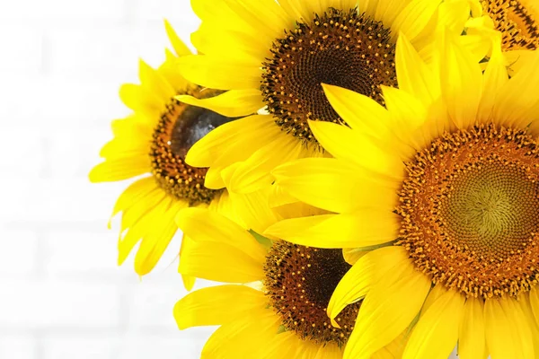 Ramillete Hermosos Girasoles Amarillos Sobre Fondo Claro — Foto de Stock