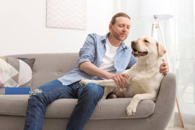 Kanepede kapalı sahibi ile Adorable sarı labrador geri almak
