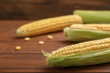 Lezzetli olgun Mısır koçanı ahşap tablo