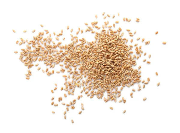 Beyaz Arka Plan Üzerinde Ham Buğday Sağlıklı Tahıl Tahıl — Stok fotoğraf