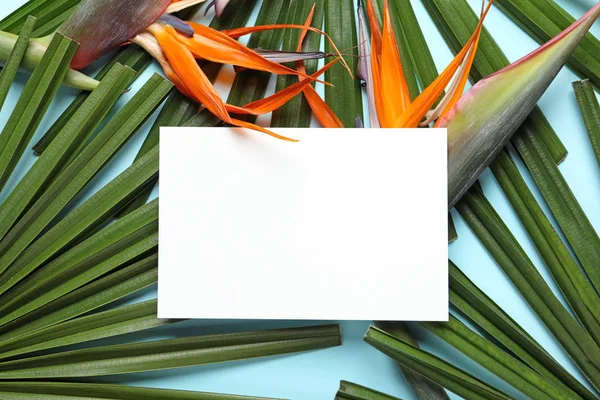 Kreativ Komposition Med Tropiska Blommor Grönt Bladverk Och Kort Färg — Stockfoto
