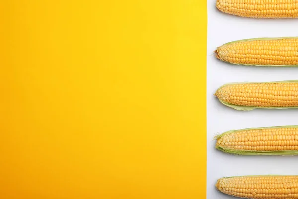 Flat Lay Composition Tasty Sweet Corn Cobs Color Background — Stock Photo, Image