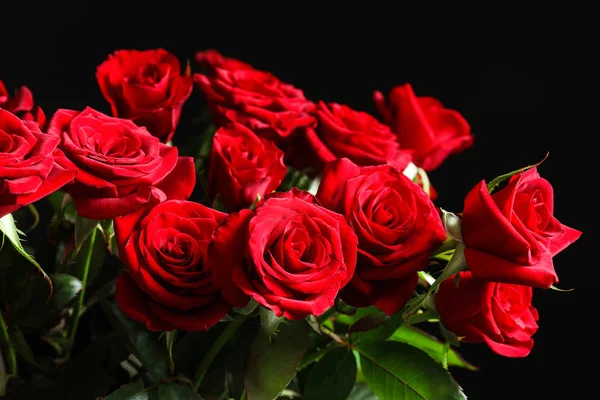 Beautiful Red Rose Flowers Black Background — Stock Photo, Image