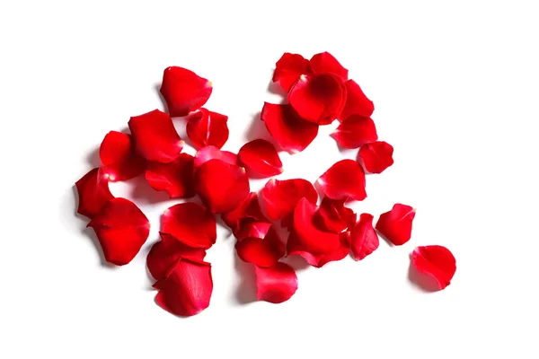 Płatki Róż Czerwony Białym Tle Widok Góry — Zdjęcie stockowe