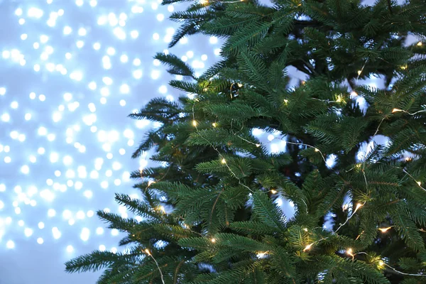 Kerstboom Met Fairy Lichten Tegen Onscherpe Achtergrond — Stockfoto