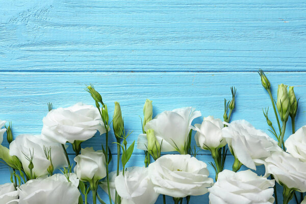 Flat lay composition with beautiful Eustoma flowers on wooden background