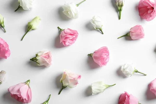 Mieszkanie Świeckich Skład Pięknych Kwiatów Eustoma Jasnym Tle — Zdjęcie stockowe