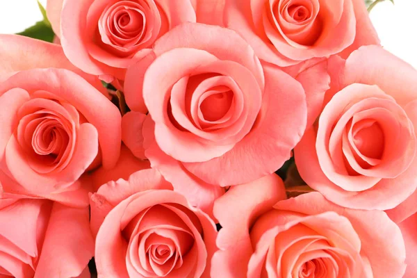 Ramo Hermosas Rosas Primer Plano — Foto de Stock