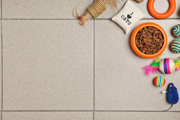 Kom Met Voedsel Voor Kat Accessoires Verdieping Dierenverzorging — Stockfoto