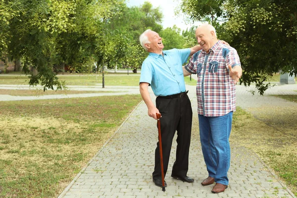 公園で一緒に時間を過ごす高齢者の男性 — ストック写真