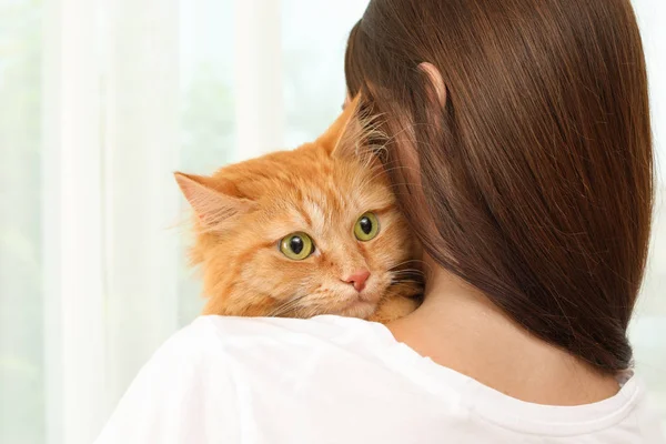 Woman Holding Adorable Red Cat Light Background — Stock Photo, Image