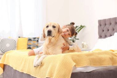 Adorable sarı labrador geri almak ve küçük kız yatakta evde