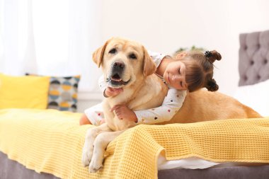 Adorable sarı labrador geri almak ve küçük kız yatakta evde