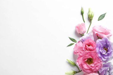 Açık renkli güzel Eustoma çiçekler ile düz yatıyordu kompozisyon