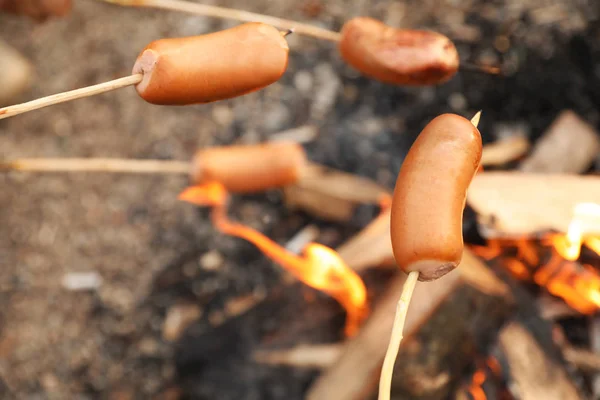 Freír Salchichas Hoguera Aire Libre Temporada Camping — Foto de Stock