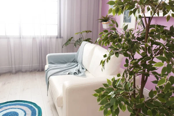 快適な白いソファ付けのスタイリッシュな客室インテリア — ストック写真