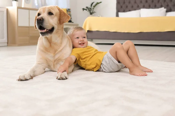 Adorável Amarelo Labrador Retriever Menino Casa — Fotografia de Stock