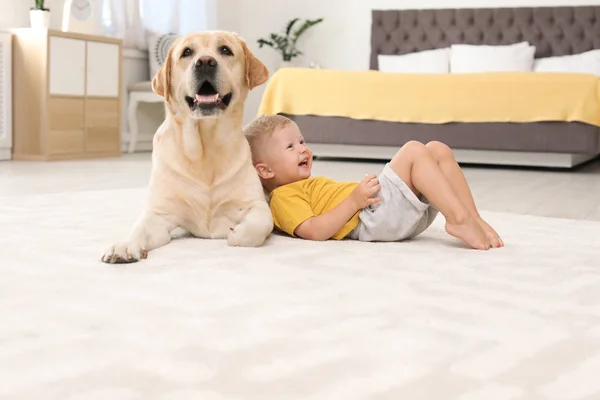 Adorable Labrador Jaune Récupérateur Petit Garçon Maison — Photo