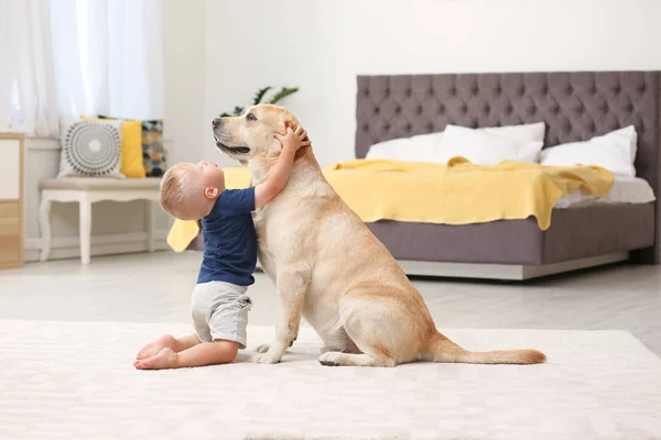 Bedårande Gula Labrador Retriever Och Liten Pojke Hemma — Stockfoto