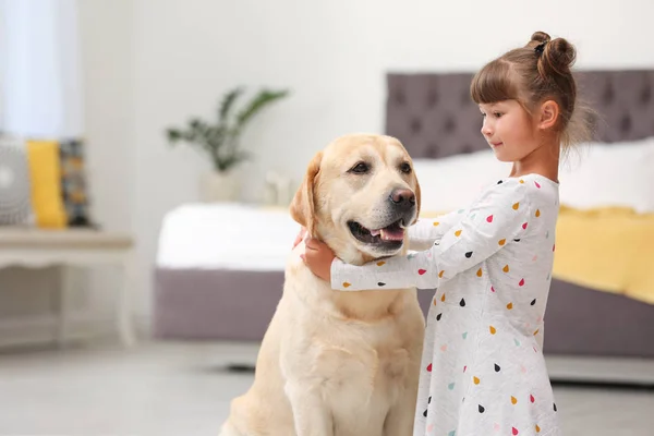 Adorável Amarelo Labrador Retriever Menina Casa — Fotografia de Stock