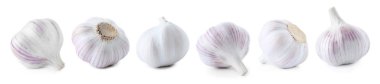 Beyaz arka plan üzerinde farklı sarımsak ampuller kümesi