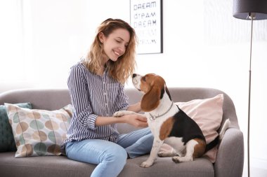 Köpeğini evde kanepe üzerinde olan kadın