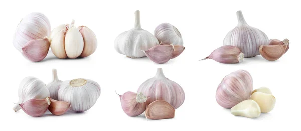 Set Different Garlic Bulbs Cloves White Background — Stock Photo, Image