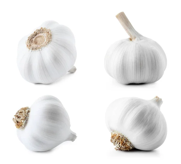 Set Different Garlic Bulbs White Background — Stock Photo, Image