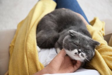 Evde, kedisinin okşayarak kadın portre