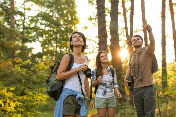 Young friends in forest on summer day. Camping season