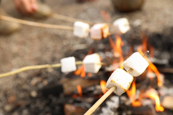 Eibisch Lagerfeuer Freien Braten Campingsaison — Stockfoto