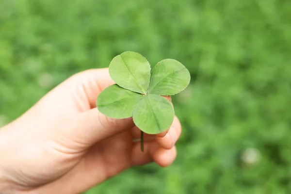 Žena Držící Čtyři Leaf Clover Venku Closeup — Stock fotografie