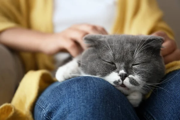 Woman Stroking Her Cat Home Closeup — Stock Photo, Image
