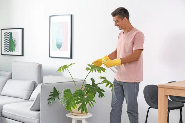 Adam Houseplant Odasında Toz Temizleme — Stok fotoğraf