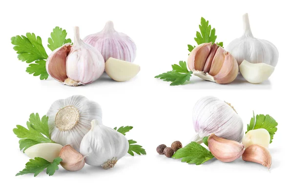 Set Different Garlic Bulbs Cloves White Background — Stock Photo, Image