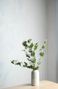 Okaliptüs dalları masada cam vazo içinde sunulan taze yapraklarla demet