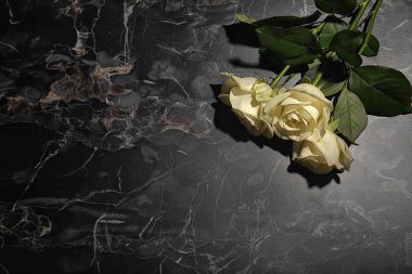 Güzel beyaz gül gri arka plan, üstten görünüm üzerinde. Cenaze sembolü