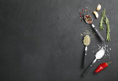 Farklı Aromatik baharatlar ve koyu arka plan üzerinde metin için yer düz yatıyordu kompozisyonu