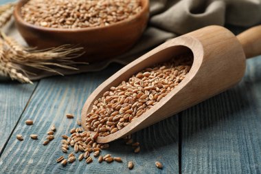 Ahşap masa üzerinde buğday ile Kepçe. Tahıl ve tahıl