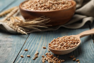 Ahşap masa üzerinde buğday kaşıkla. Tahıl ve tahıl