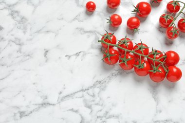 Sulu domates ve mermer zemin üzerine metin için yer düz yatıyordu kompozisyonu
