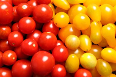 Arka plan, closeup olarak farklı olgun domates