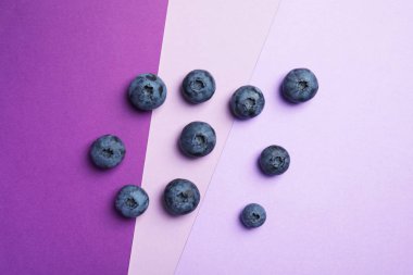 Renk arka plan üzerinde lezzetli blueberry ile düz yatıyordu kompozisyon