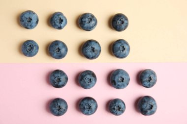 Renk arka plan üzerinde lezzetli blueberry ile düz yatıyordu kompozisyon