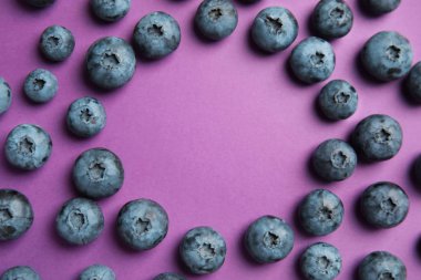 Lezzetli blueberry ve renk arka plan üzerinde metin için yer düz yatıyordu kompozisyonu