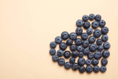 Lezzetli blueberry ve renk arka plan üzerinde metin için yer düz yatıyordu kompozisyonu