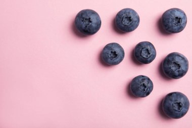 Lezzetli blueberry ve renk arka plan üzerinde metin için yer düz yatıyordu kompozisyonu